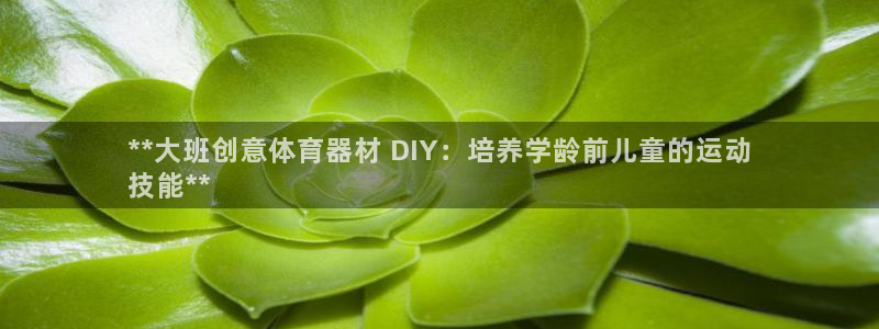 富联一区属于哪个街道：**大班创意体育器材 DIY：