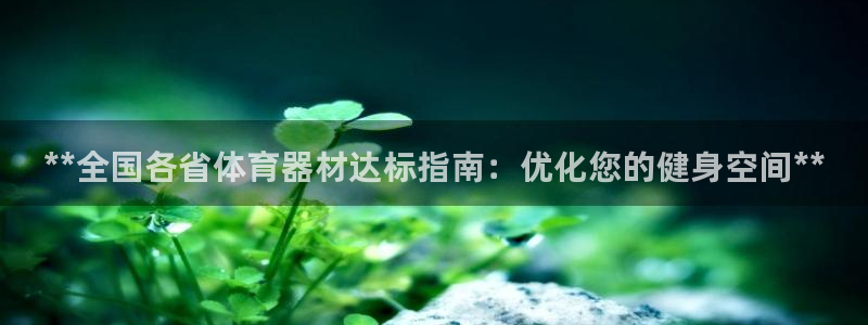 富联工坊:**全国各省体育器材达标指南:优化您的健身空间**